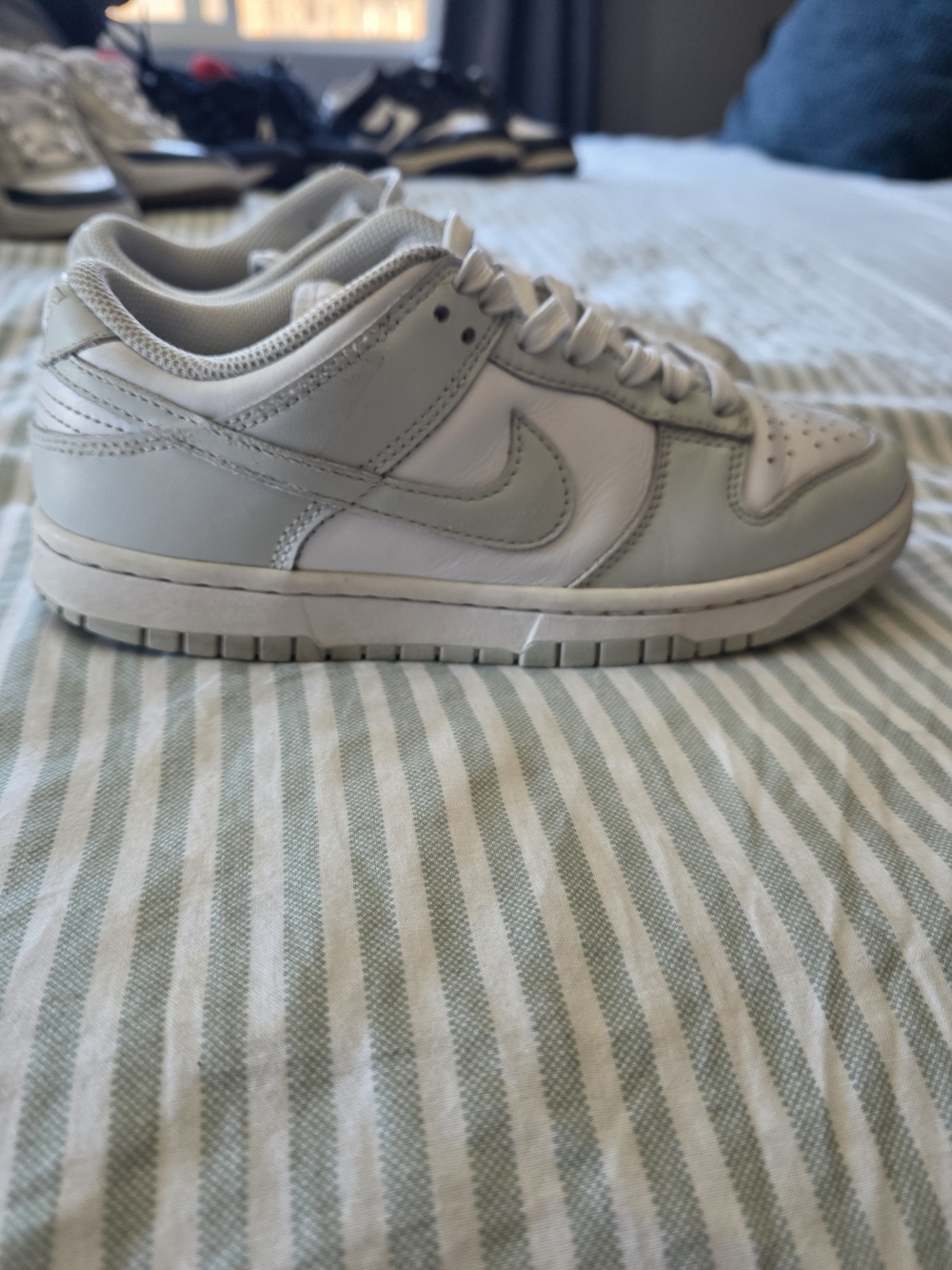 Nike Low-Top Sneakers in Light Gray and White